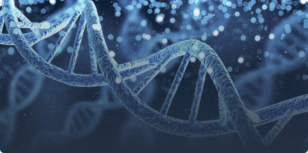 4. Detoxificación: moduladores epigenéticos y toxicidad celular